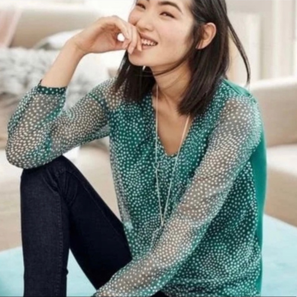 Boden Aubrey sheer v-neck, polka dot sleeve blouse!Beautiful! EUC💚🍀☘️🍃💚